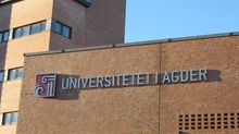 University of Agder