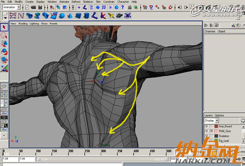 maya肌肉建模技巧 飛特網(wǎng) maya建模教程