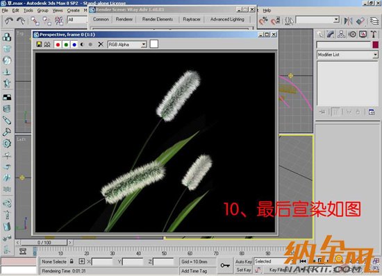 3DMAX打造狗尾巴草