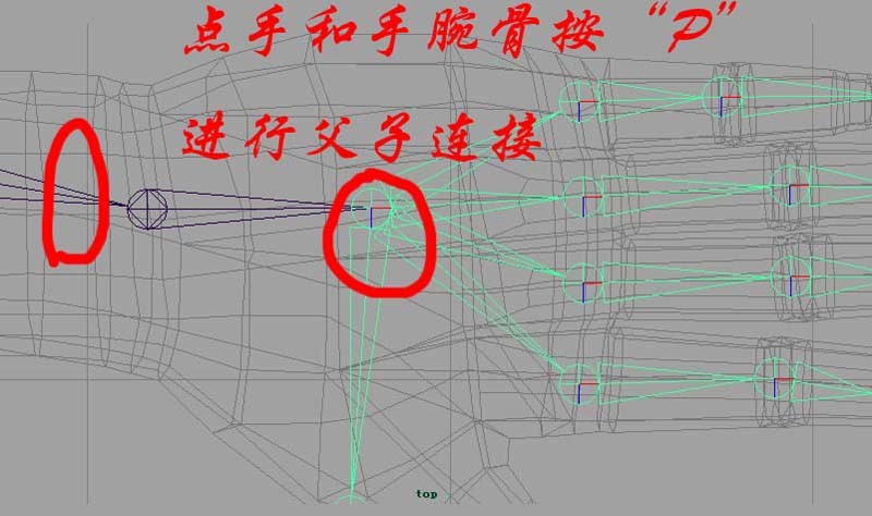 中高級骨骼綁定maya教程