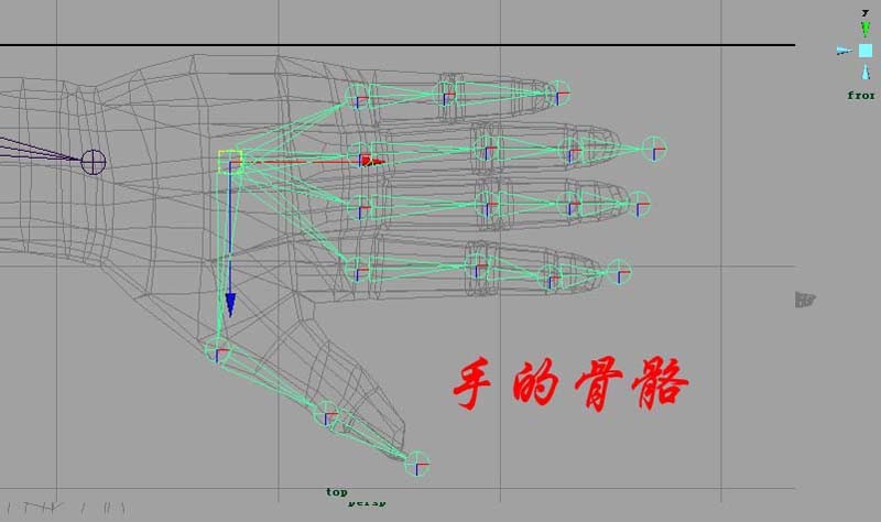 中高級骨骼綁定maya教程