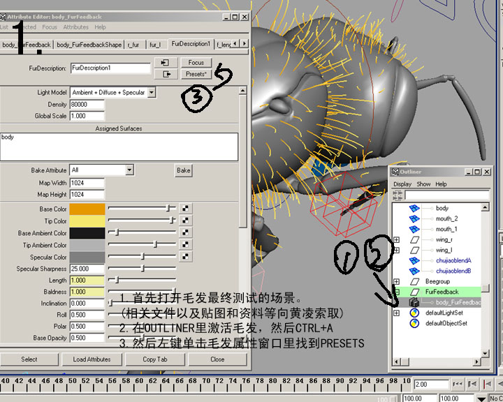 maya教程：MAYA的FUR教材-蜜蜂體毛的制作