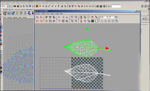 用maya制作逼真的樹葉   納金網(wǎng)